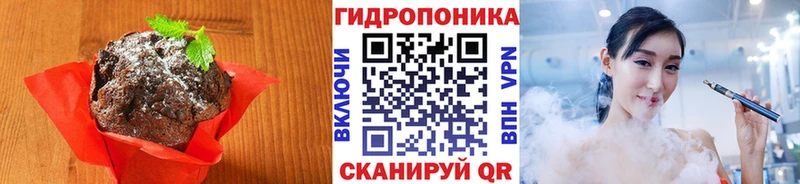 МЕГА маркетплейс  Пущино  Печенье с ТГК марихуана  как найти закладки 