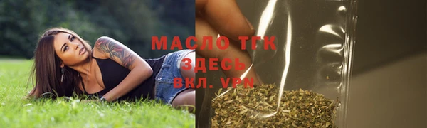 гидропоника Гусь-Хрустальный