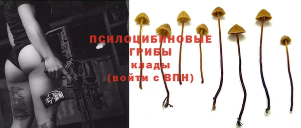 Альфа ПВП Горняк