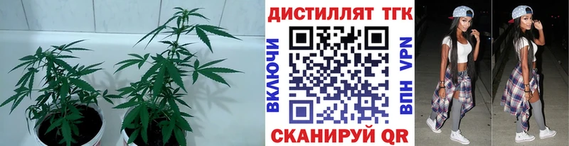 ТГК концентрат  Пущино 