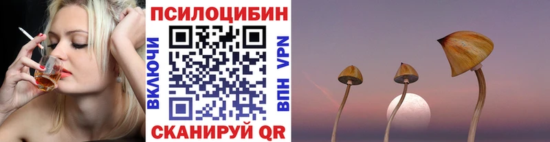 blacksprut ССЫЛКА  Пущино  Галлюциногенные грибы мухоморы  купить наркотики цена 